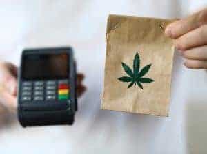 The Cost of CBD Oil in NZ