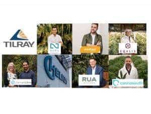 Into the Looking Glass. What the Future Holds for Medicinal Cannabis in New Zealand in 2021