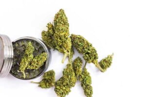 The First NZ-Approved Medicinal Cannabis Flower!